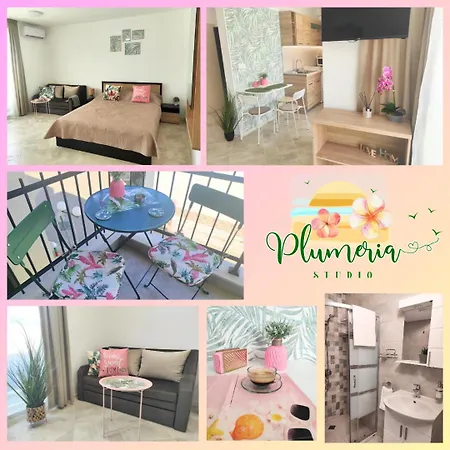 студио плумерия / Plumeria * Obzor
