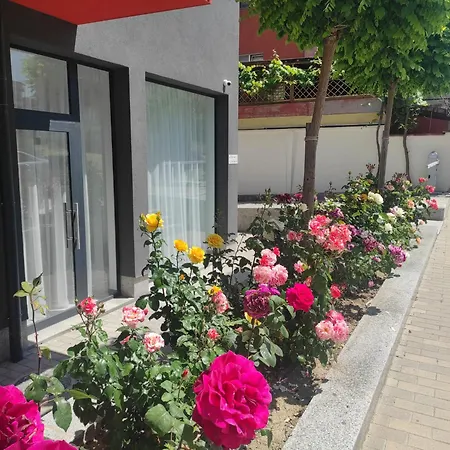 Apartamento студио плумерия / Plumeria